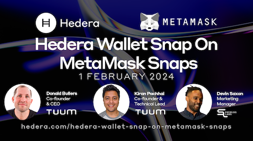 Hedera Wallet Snap On MetaMask Snaps Banner - Newsletter